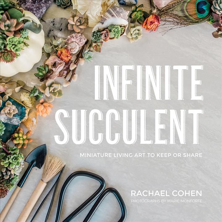 Infinite Succulent ? Miniature Living Art to Keep or Share (Hardback)