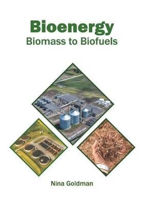 Bioenergy: Biomass to Biofuels By Goldman 9781682867594 (Hardback)