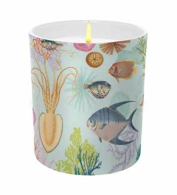 Art of Nature: Under the Sea Scented Glass Candle 9781682987025