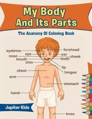 My Body And Its Parts: The Anatomy Of Coloring Book By Jupiter Kids