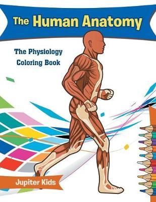 The Human Anatomy: The Physiology Coloring Book By Jupiter Kids