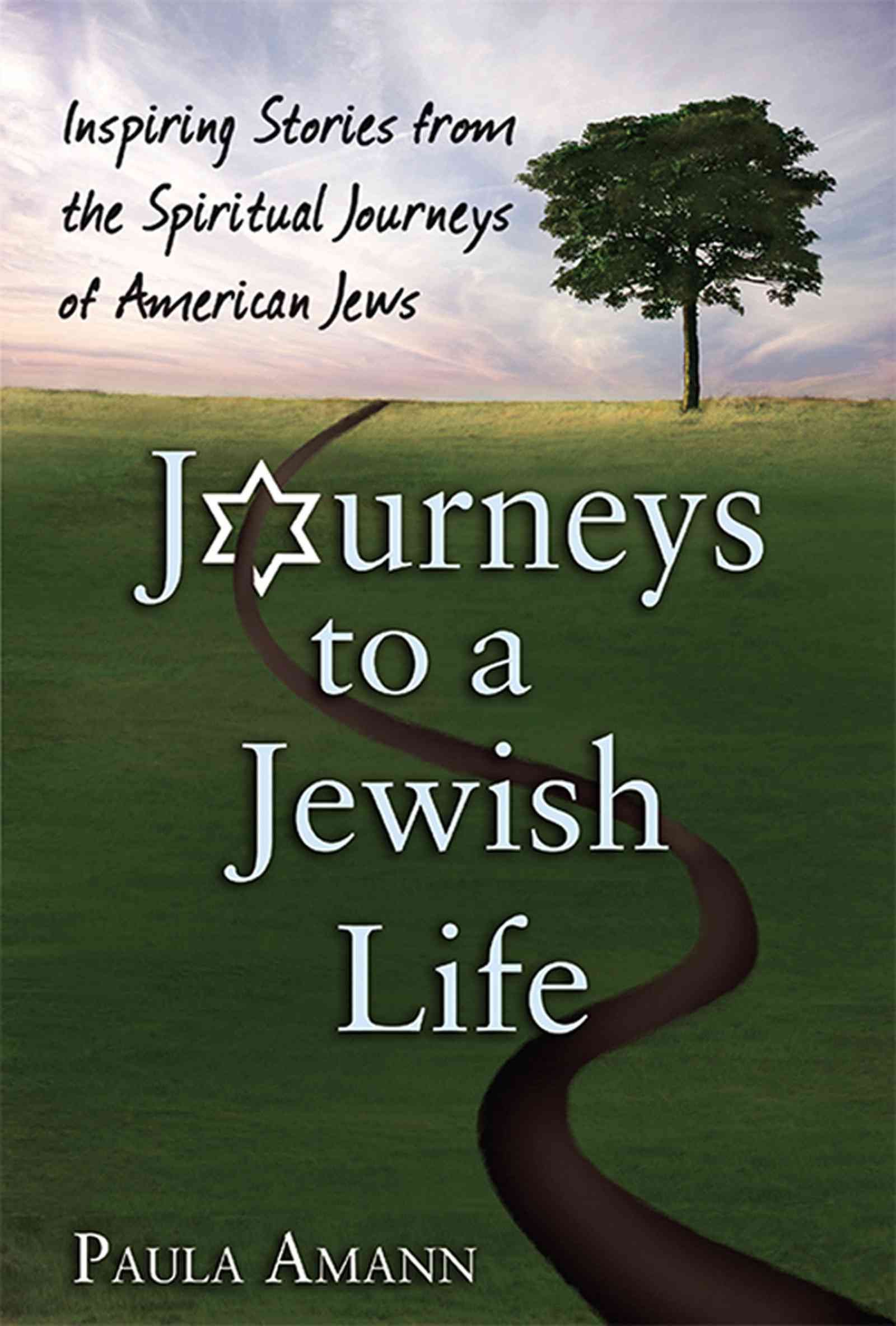 Journeys to a Jewish Life By Paula Amann 9781683361596 (Paperback)