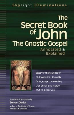 The Secret Book of John By Stevan Davies 9781683364320 (Hardback)