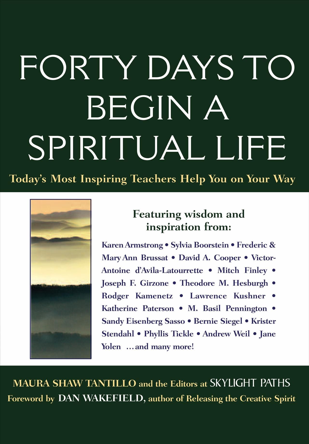 Forty Days to Begin a Spiritual Life By Maura D. Shaw 9781683365631