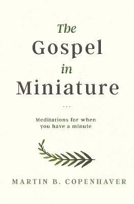 Gospel in Miniature By Martin Copenhaver 9781683367208 (Hardback)