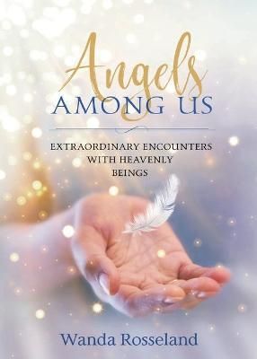 Extraordinary Encounters With Heavenly Beings By Wanda Rosseland