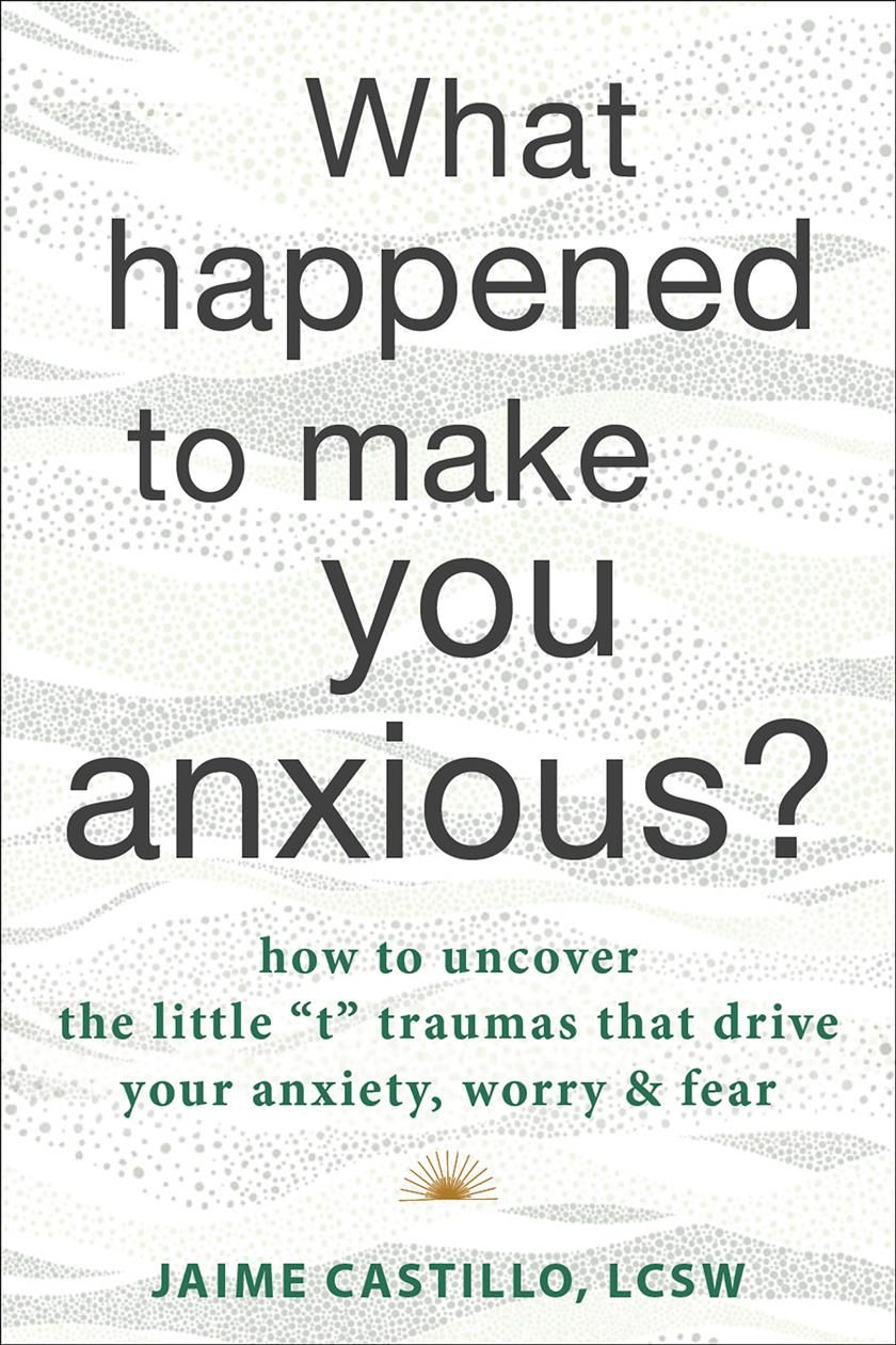 What Happened to Make You Anxious? By Jaime Castillo 9781684038756