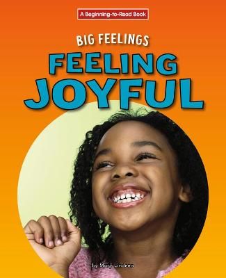 Feeling Joyful By Mary Lindeen 9781684046652 (Paperback)