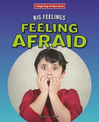 Feeling Afraid By Mary Lindeen 9781684046676 (Paperback)