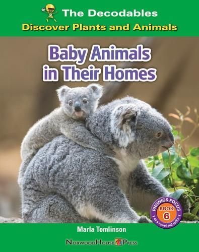Baby Animals in Their Homes By Marla Tomlinson 9781684049042