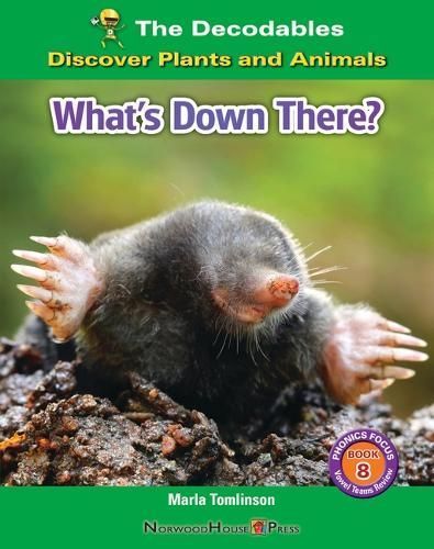 What's Down There? By Marla Tomlinson 9781684049066 (Paperback)