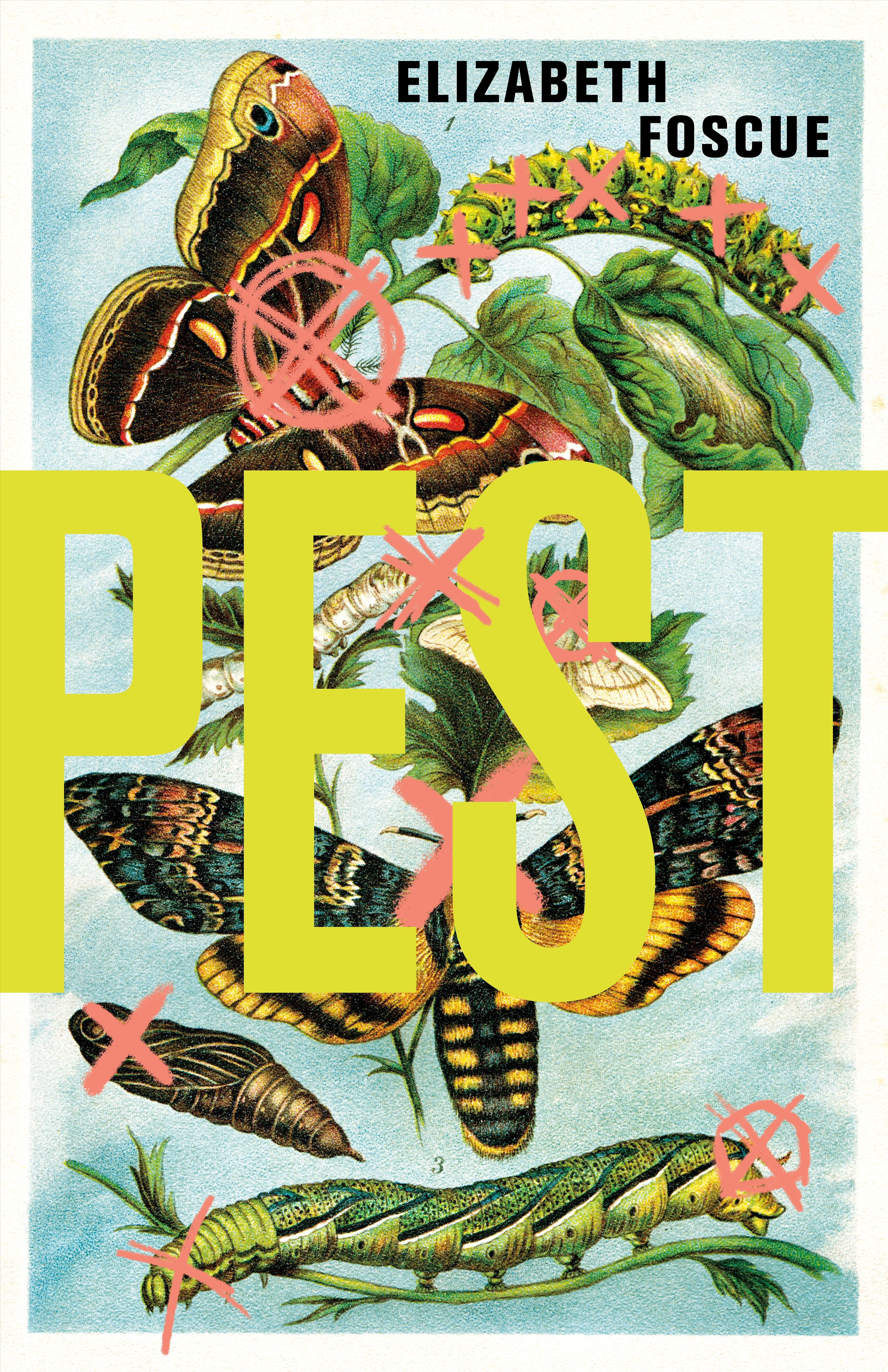 Pest By Elizabeth Foscue 9781684428120 (Paperback)