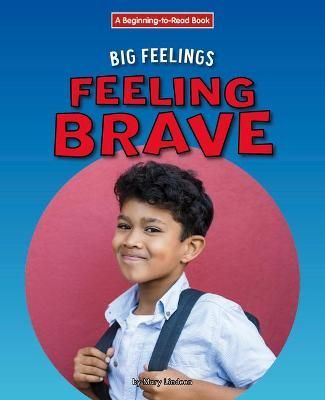 Feeling Brave By Mary Lindeen 9781684508198 (Hardback)