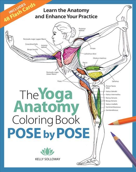 The Yoga Anatomy Coloring Book 9781684620135 (Paperback)