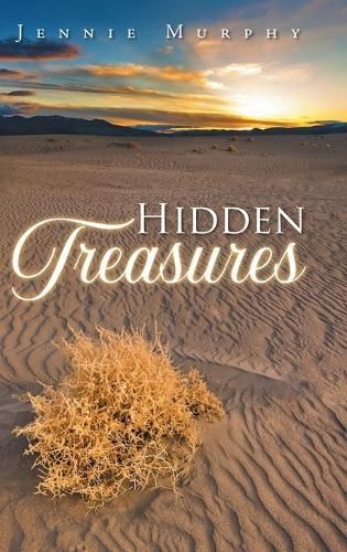 Hidden Treasures By Murphy 9781684867240 (Hardback)