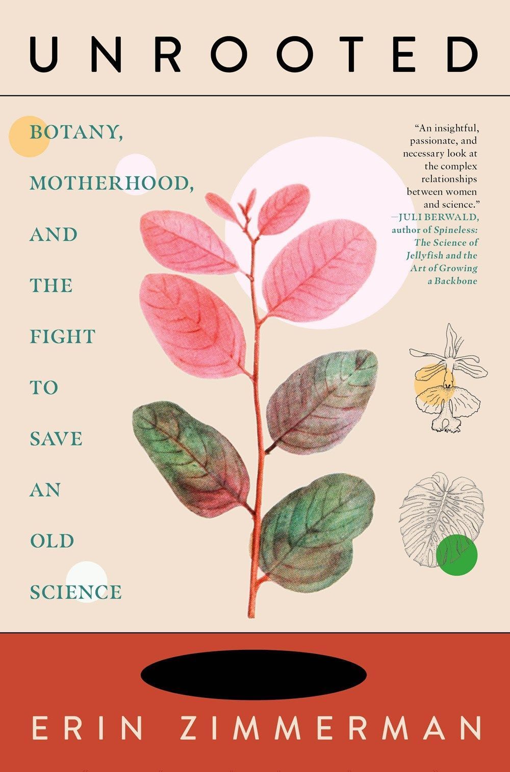 Unrooted By Erin Zimmerman 9781685890704 (Hardback)