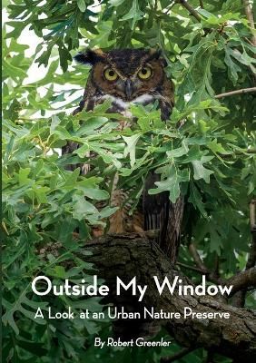 Outside My Window By Robert Greenler 9781716027307 (Paperback)