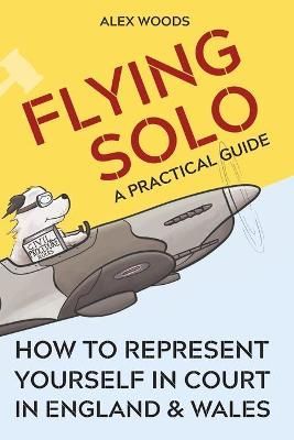 Flying Solo: How to Represent Yourself in Court in England and Wales