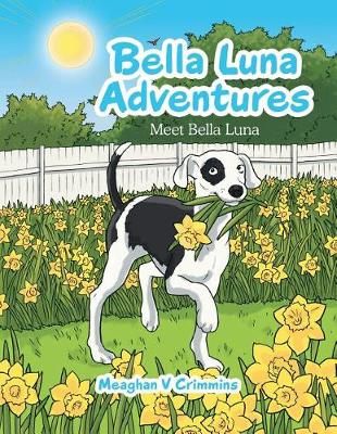 Bella Luna Adventures By Meaghan V Crimmins 9781728312040 (Paperback)