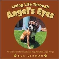 Living Life Through Angel's Eyes By Lehman 9781728337197 (Hardback)