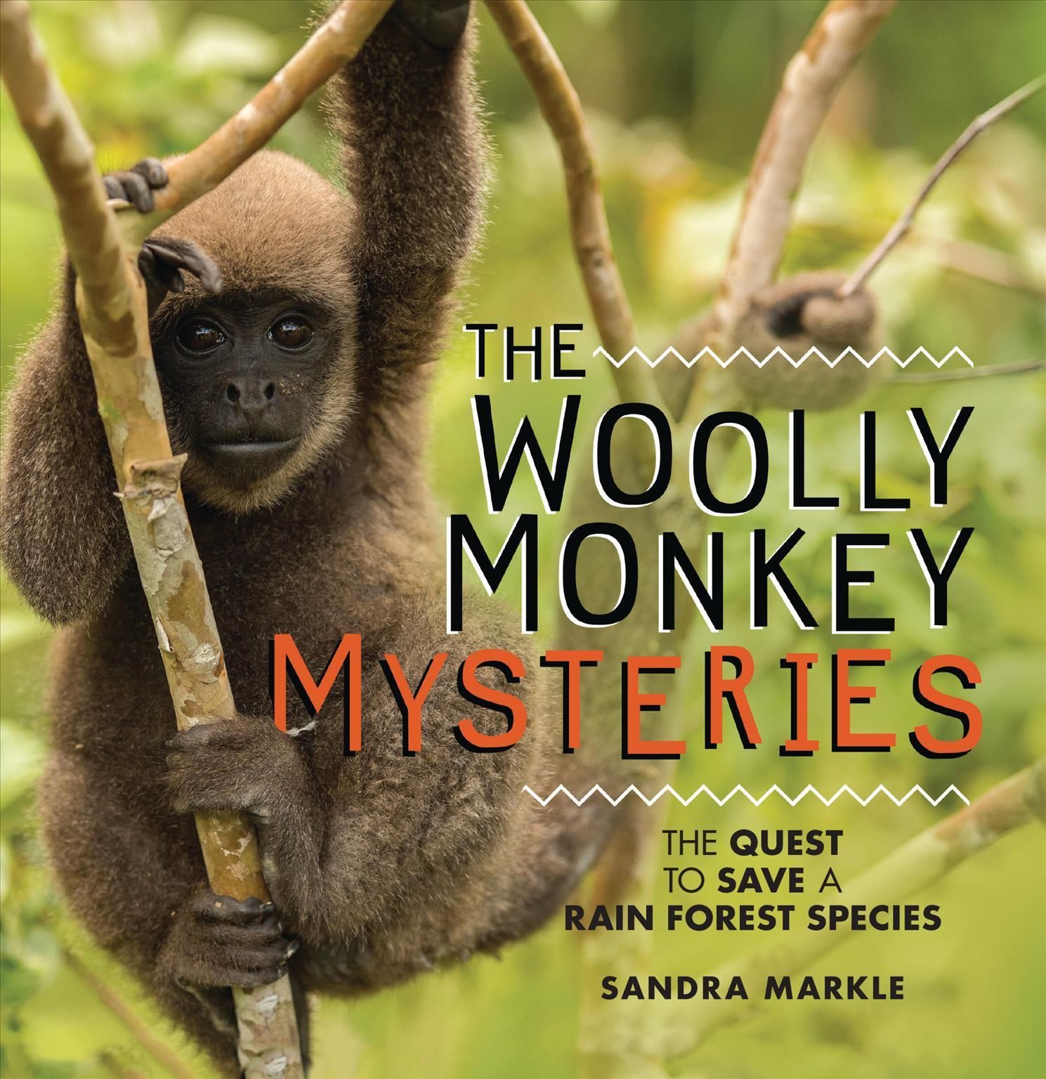 The Woolly Monkey Mysteries By Sandra Markle 9781728477862 (Paperback)