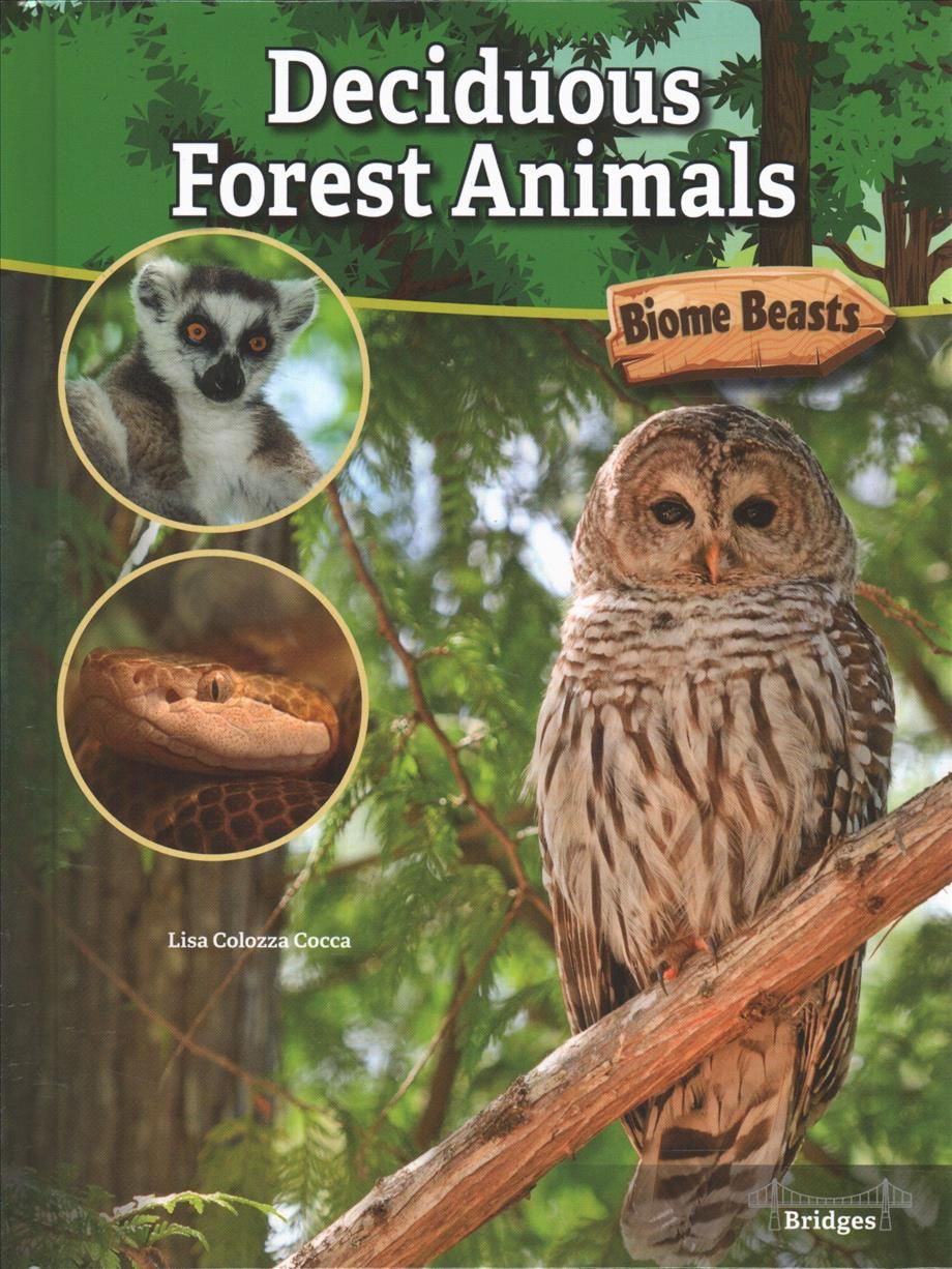 Deciduous Forest Animals By Lisa Colozza Cocca 9781731614407