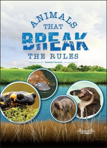 Animals That Break the Rules By Natasha Vizcarra 9781731658029