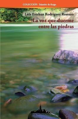 La voz que duerme entre las piedras By Luis Esteban Rodriguez Romero