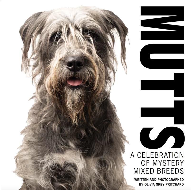Mutts By Olivia Grey Pritchard (photographer) 9781733634175 (Hardback)