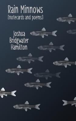 Rain Minnows By Joshua Bridgwater Hamilton 9781734049541 (Paperback)