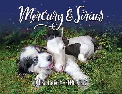 Mercury & Sirius By Debbie Garcia-Bengochea 9781734193213 (Paperback)