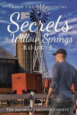 Secrets of Willow Springs - Book 3 By Fredrychowski 9781734241174