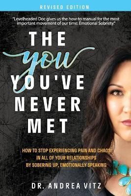 The You You've Never Met, Revised Edition By Andrea M Vitz (Paperback)