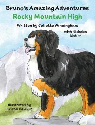 Rocky Mountain High By Winningham 9781734770100 (Hardback)