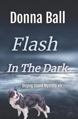 Flash in the Dark By Donna Ball 9781735127118 (Paperback)