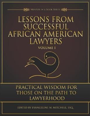 Lessons from Successful African American Lawyers 9781735261317