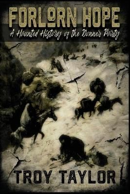 Forlorn Hope By Taylor, Troy 9781735270661 (Paperback)