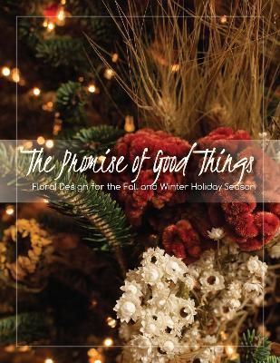 The Promise of Good Things By James M. DelPrince 9781735410319