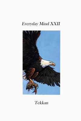 Everyday Mind XXII By Tekkan 9781736353752 (Paperback)