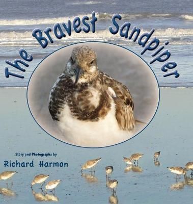 The Bravest Sandpiper By Harmon, Richard 9781737258117 (Hardback)