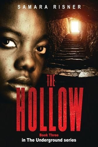 Hollow By Risner 9781737897446 (Paperback)