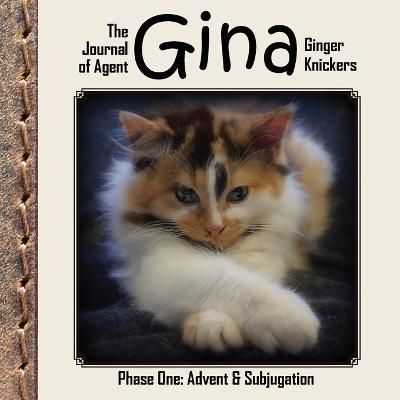 The Journal of Agent Gina Ginger Knickers, Phase One By Linda Deane