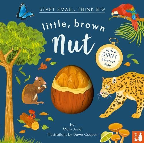 Little, Brown Nut By Mary Auld (author), Dawn Cooper (illustrator)