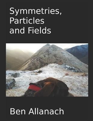 Particles and Fields Symmetries By Allanach 9781739940690 (Paperback)