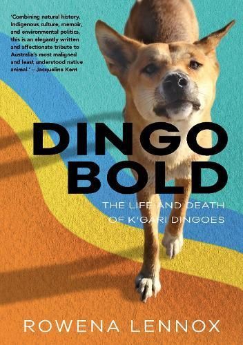 Dingo Bold By Rowena Lennox 9781743327319 (Paperback)