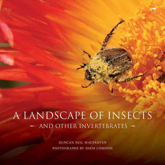 A landscape of insects and other invertebrates By Duncan MacFadyen