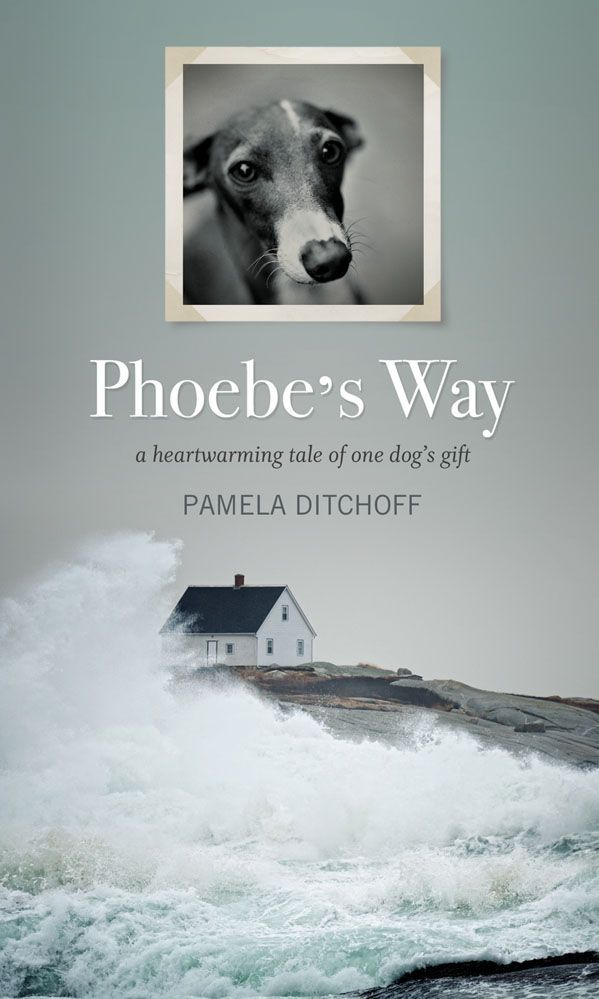 Phoebe's Way By Pamela Ditchoff 9781770411951 (Hardback)