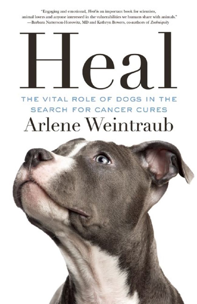 Heal By Arlene Weintraub 9781770412705 (Paperback)