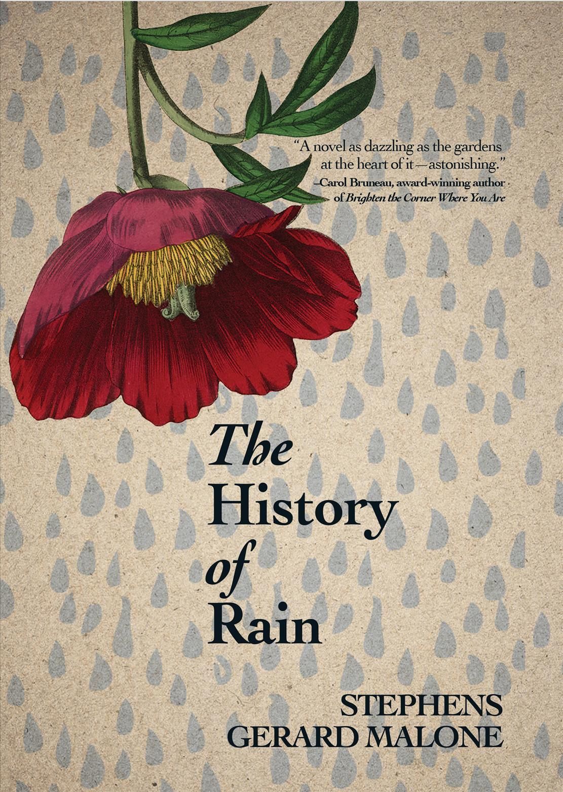 The History of Rain By Stephens Gerard Malone 9781771089791