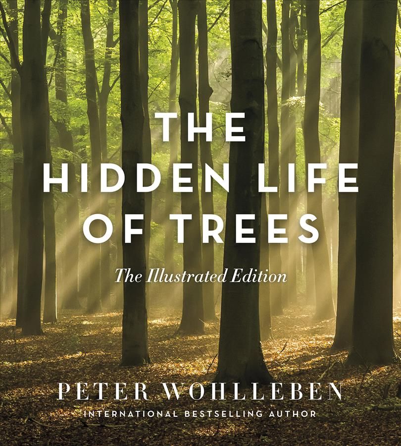 The Hidden Life of Trees 9781771643481 (Hardback)